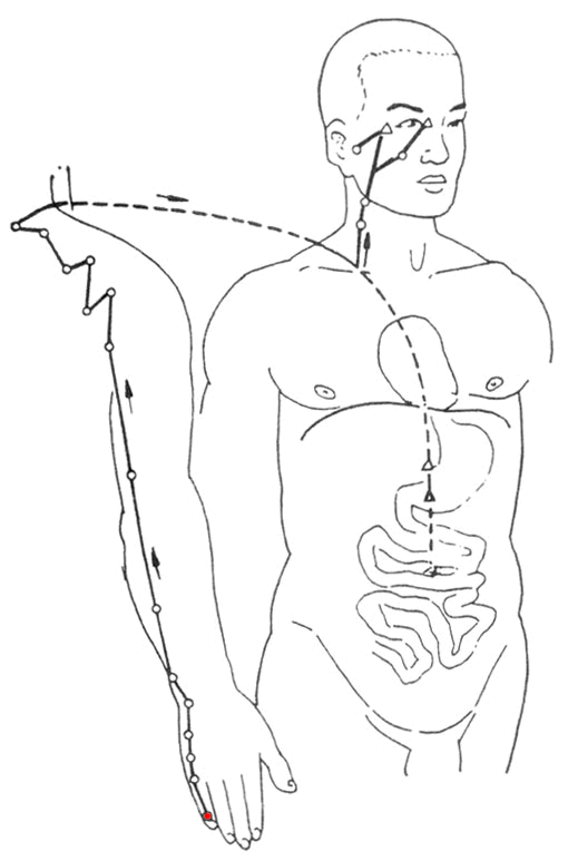中医教你十二经络养生,图解人体经络走向,很珍贵的!
