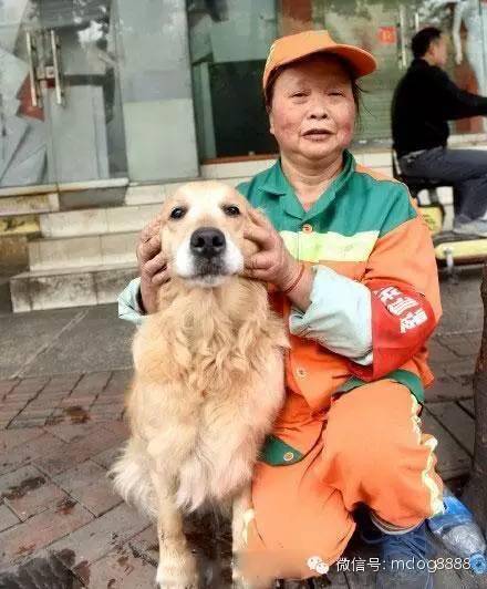 狗狗帮主人捡瓶子卖钱 b6d22015f30e4c2_w440_h532.jpg