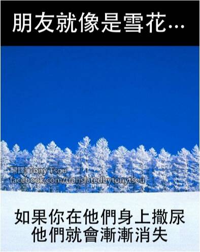 哈哈,确实!