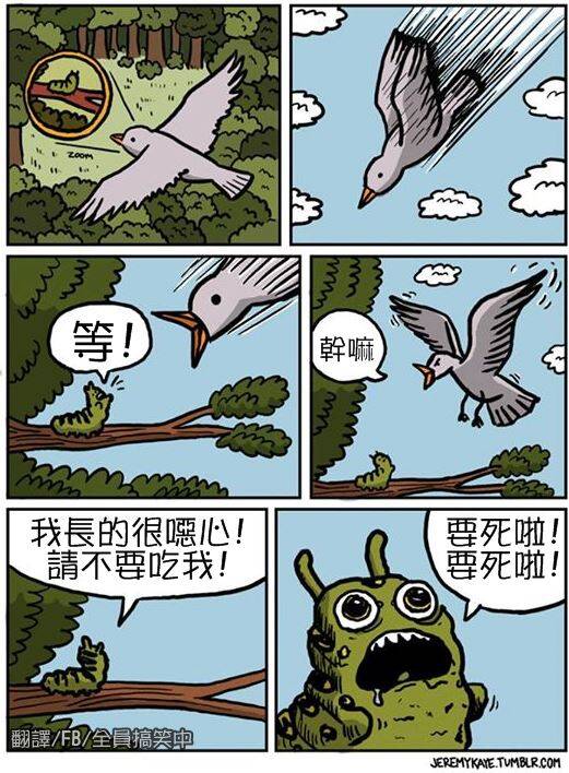  晚FUN来了150807:80块让你百毒不侵|快保护我国颜值担当