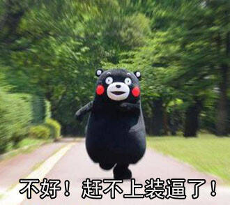一组熊本熊表情包 供大家分享使用共同提高姿势