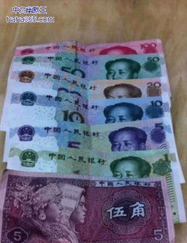  晚FUN来了151109:找媳妇先看丈母娘手臂|这毒贩打不过猫