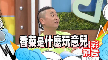  晚FUN来了151109:找媳妇先看丈母娘手臂|这毒贩打不过猫