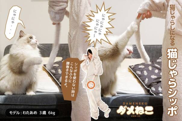 猫奴必备家居服 可以带猫逗猫伪装成猫