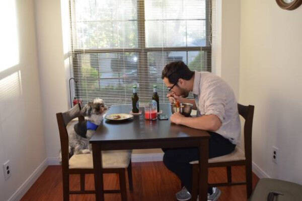 又一批单身狗的快乐日常 看着看着就哭了
