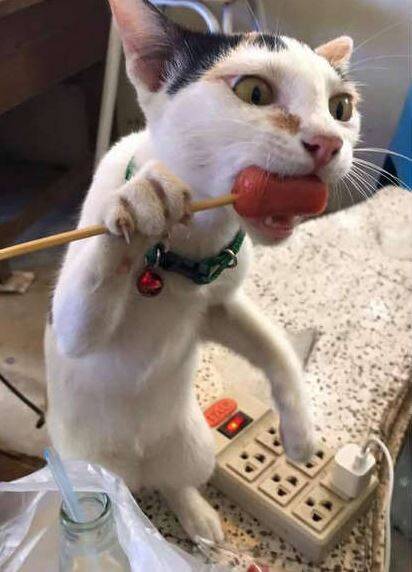撸一串!
