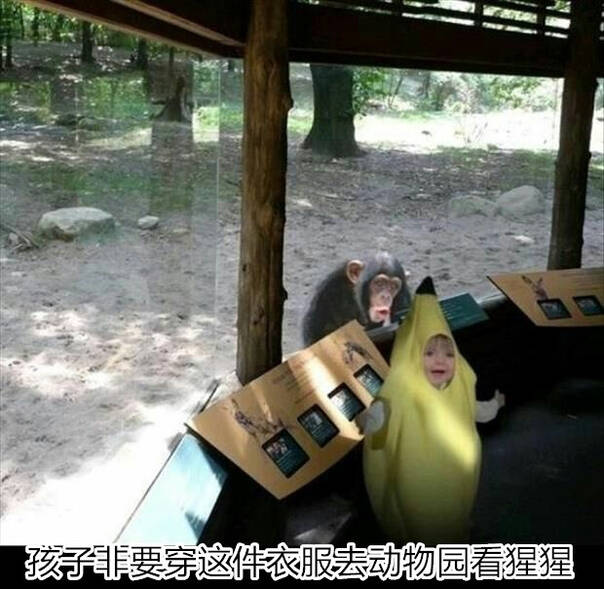  囧图160414:被爱情绊住了拯救世界脚步的喵星人|41图