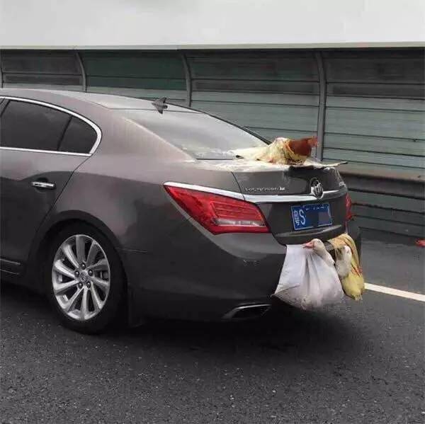 就出现在深圳隔壁!后置发动鸡,双涡轮增鸭!猴年