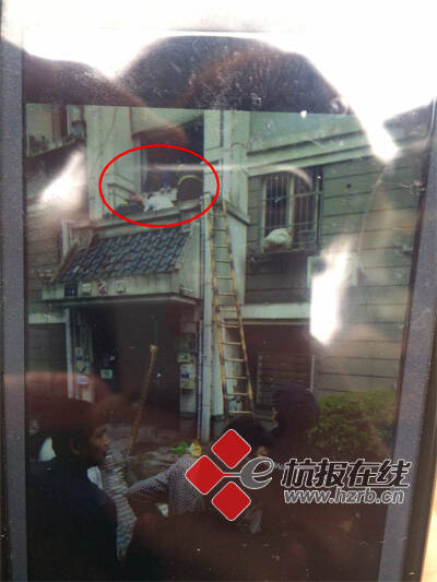 浙江一名15岁女孩留下遗书从6楼跳下