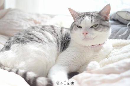 [囧图]当你太用力 把蚊子的灵魂都打出来时|34图
