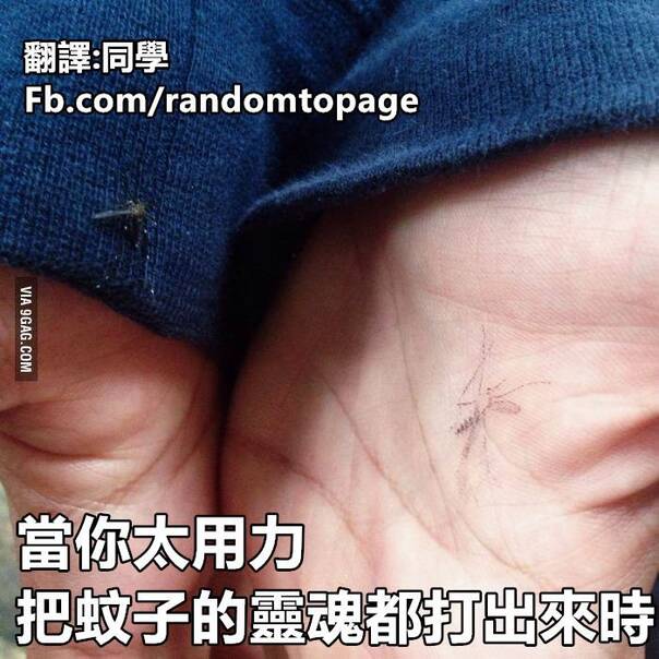 [囧图]当你太用力 把蚊子的灵魂都打出来时|34图