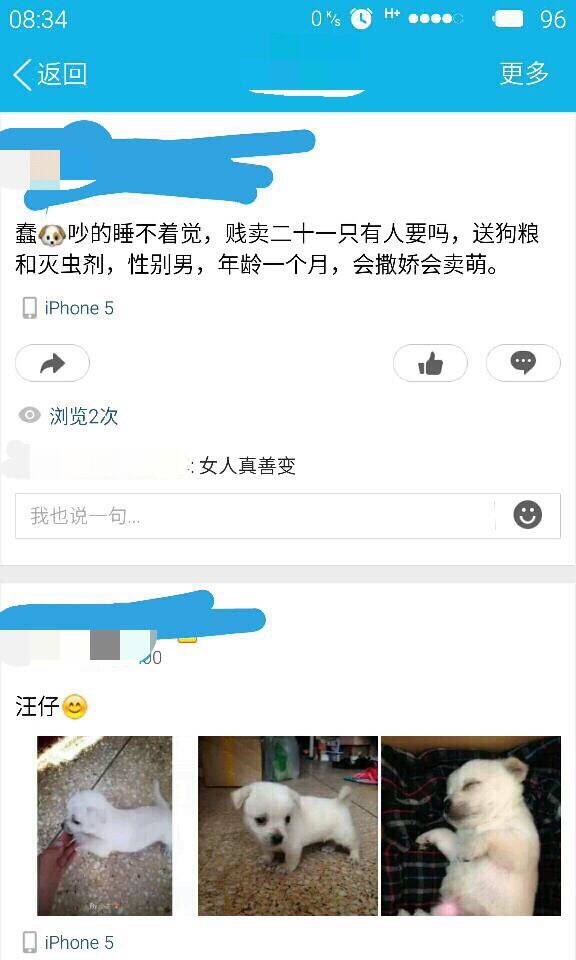 [囧图]你已经失去了当小黄人主人的资格|44图