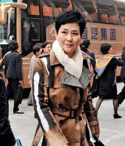 [转载]<em>舆论漩涡中的</em><em>电力一姐</em> 曾是国电投副总