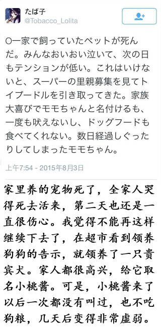 震惊150804:一波三折的领养故事 结局尤其催人泪下