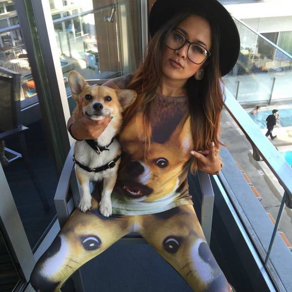 doge,你怕了吗?