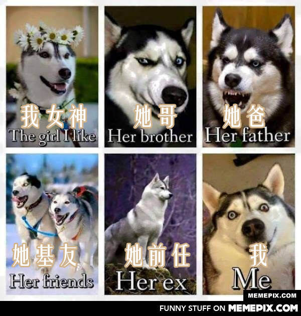 哈哈,不能更形象了~
