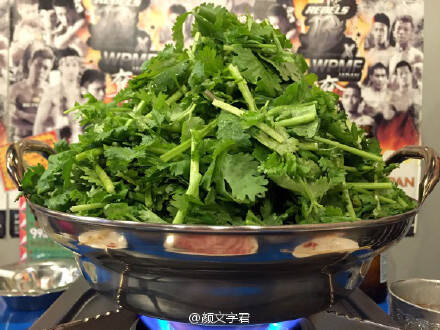  晚FUN来了151109:找媳妇先看丈母娘手臂|这毒贩打不过猫