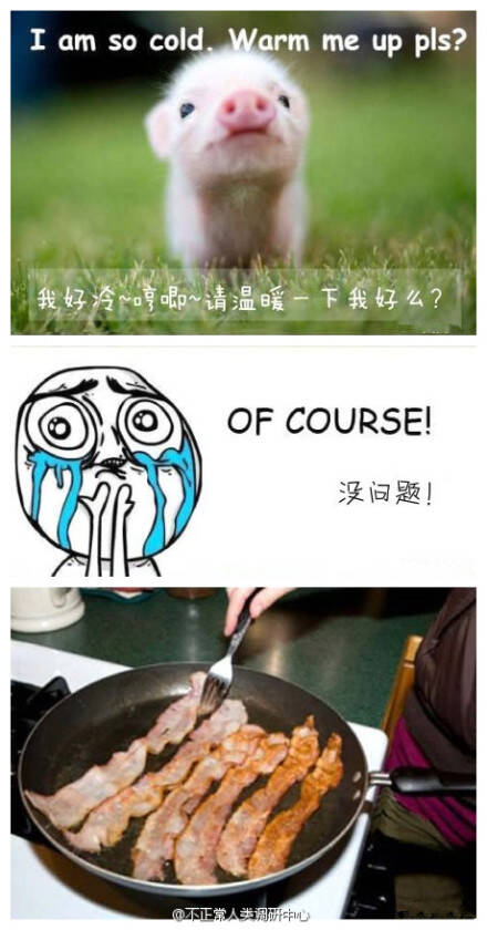  晚FUN来了151109:找媳妇先看丈母娘手臂|这毒贩打不过猫