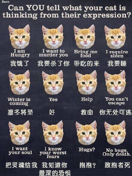  囧图151110:显然，我邻居从来没看过A片|44图