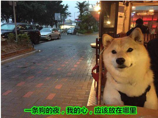 晚FUN来了151119:美剧随时换主角 国剧换个台他还是主角