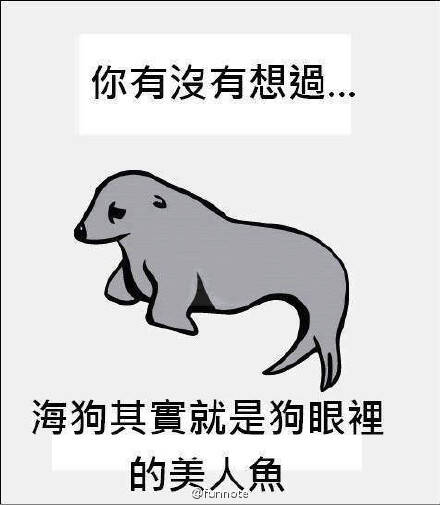 这海狗挺骚的啊