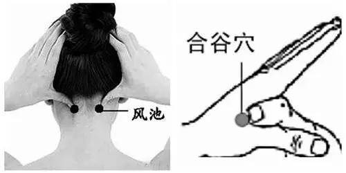 与耳垂平行位置的后头骨下两条大筋外缘凹陷处,按揉风池穴,可以帮助