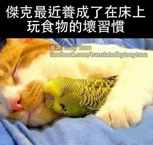 [囧图]当你太用力 把蚊子的灵魂都打出来时|34图