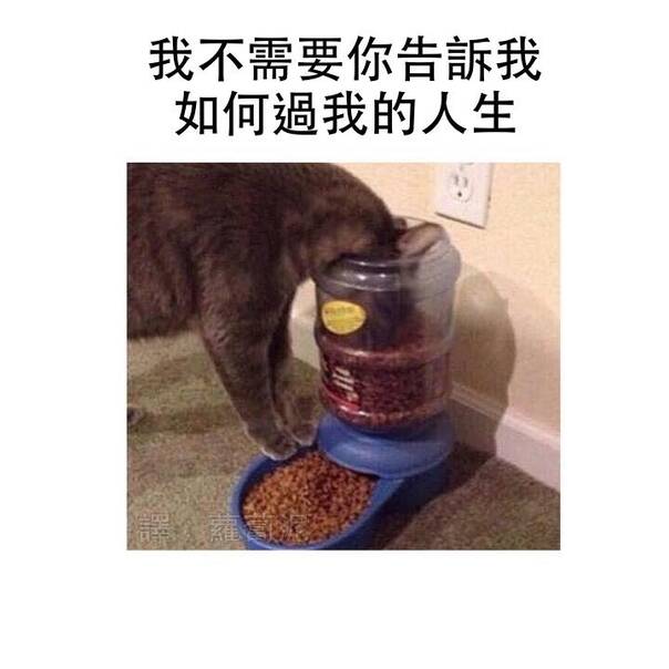 [囧图]当你太用力 把蚊子的灵魂都打出来时|34图