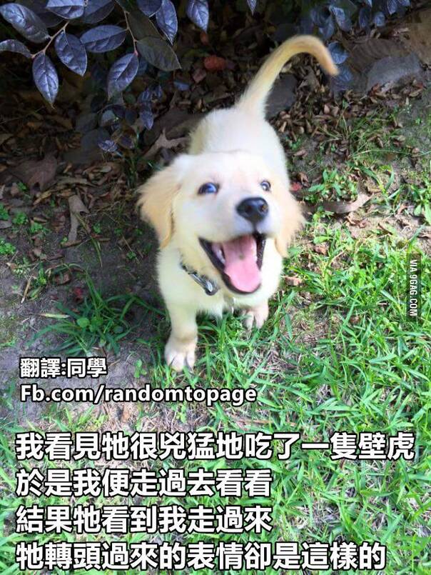 [囧图]当你太用力 把蚊子的灵魂都打出来时|34图