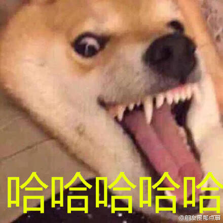 [爆笑]你有哪些有趣的租碟经历？羞羞地分享几个