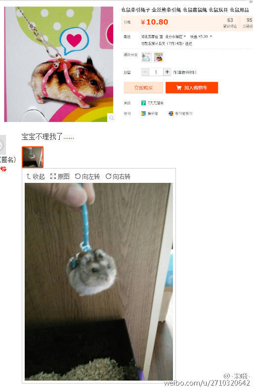 囧图150714:用了那个之后 我家仓鼠不理我了|39图