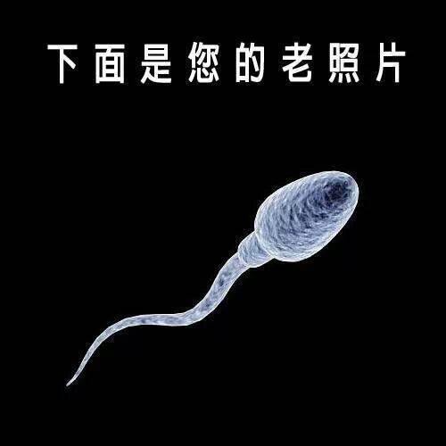  晚FUN来了150807:80块让你百毒不侵|快保护我国颜值担当