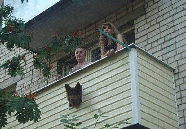 狗男女