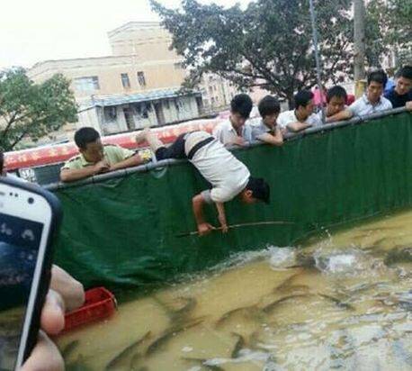 这么多鱼,还这么拼呢?