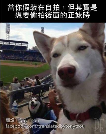 偷拍技能get√