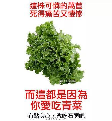  晚FUN来了151109:找媳妇先看丈母娘手臂|这毒贩打不过猫