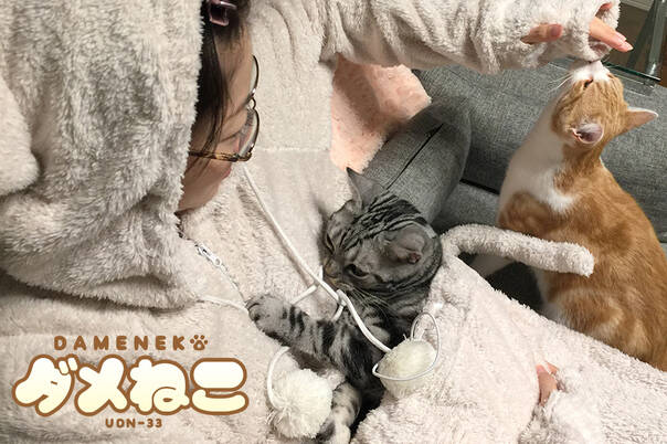 猫奴必备家居服 可以带猫逗猫伪装成猫