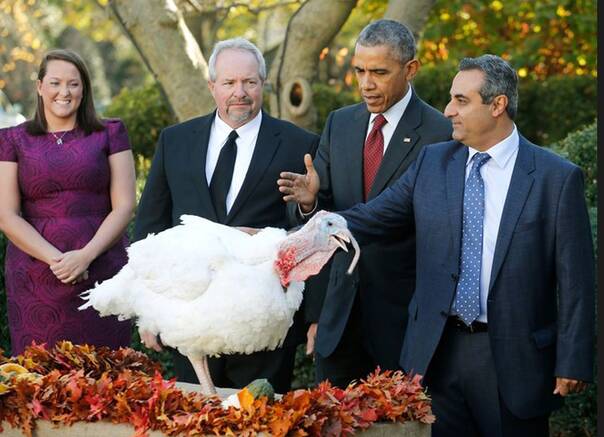 honest创始人 图片合集