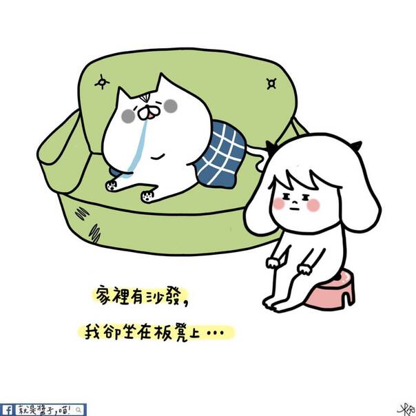 与喵主子相处的日常 一个温暖逗趣的养猫漫画