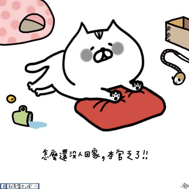 与喵主子相处的日常 一个温暖逗趣的养猫漫画