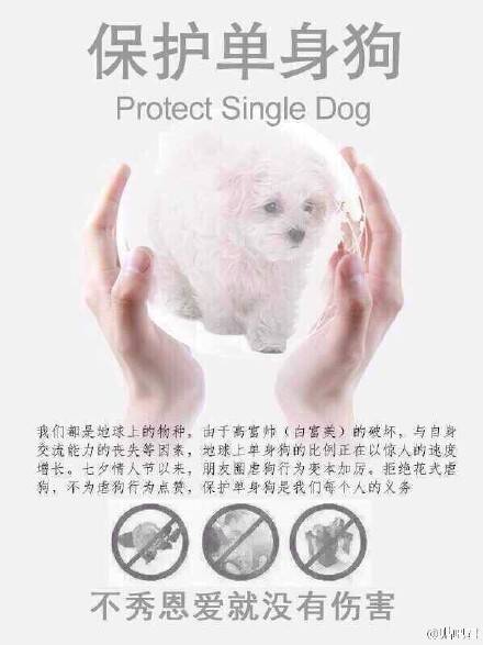  囧图160214:女票说今晚要给我狐女郎的服装诱惑|61图