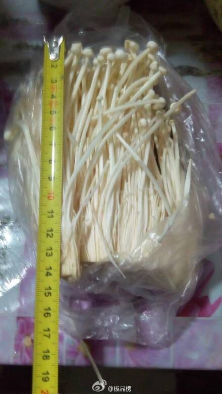  囧图160214:研究表明：中国人在汉代就发明了手机|47图