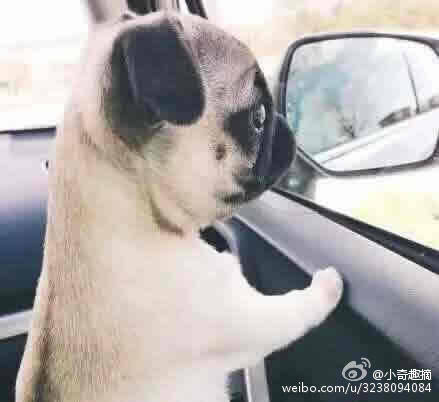  囧图160223:勇者喜欢大胸有什么错，为什么要伤害我|45图