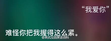 网友对Siri撩妹能力的测试结果