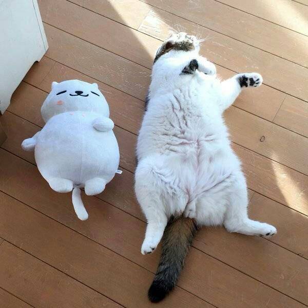 保持一致!