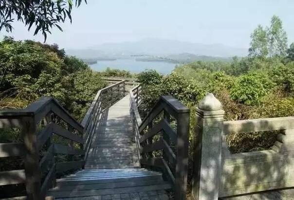 布吉镇人口_布吉街道的人口组成(3)