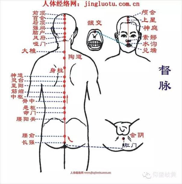 人体12经络   穴位 图,自学中医,自我诊疗必备!