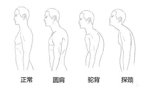 而锻炼后背的动作比如坐姿划船也会有一个肩内旋的动作