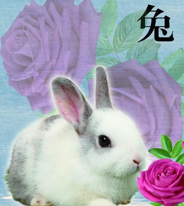 命中财神相助偏财不断生肖兔