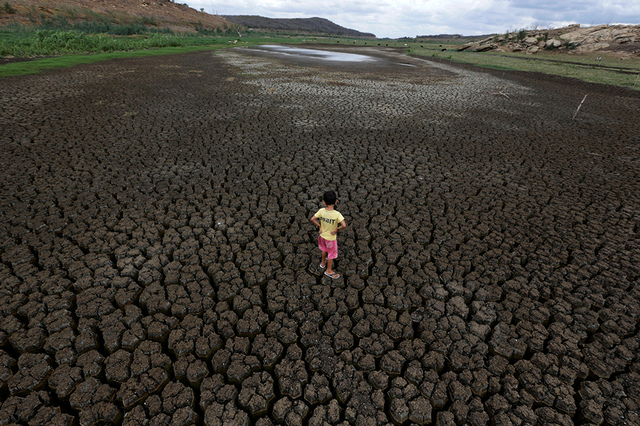 巴西遭遇严重干旱 土地龟裂畜尸满地